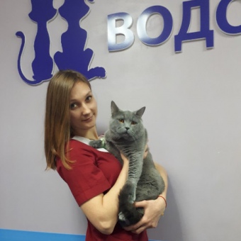 Шаповалова Анастасия Олеговна - ветеринарная клиника Водолей