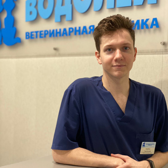 Голубков Егор Олегович - ветеринарная клиника Водолей