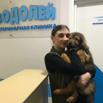 Веренич Виктория Александровна - ветеринарная клиника Водолей
