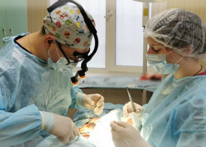 Ветеринар хирург ортопед в Москве
