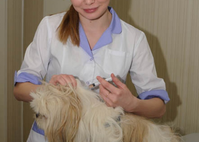 Вакцинация животных в Москве
