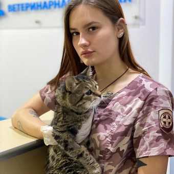 Курашева Кира Витальевна - ветеринарная клиника Водолей